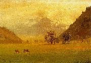 Albert Bierstadt Rhone Valley Sweden oil painting artist